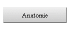 Anatomie